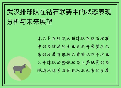 武汉排球队在钻石联赛中的状态表现分析与未来展望